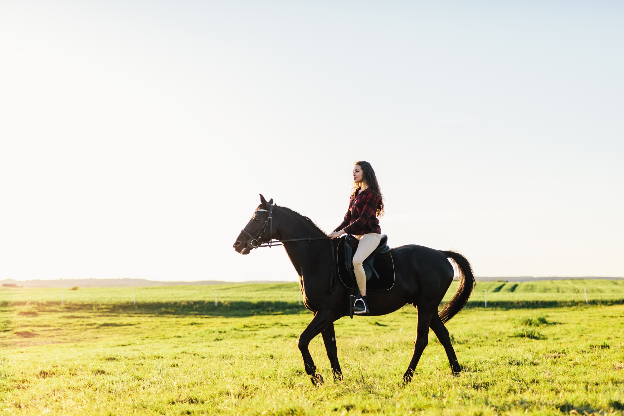 Young attractive girl riding on a bay horse.